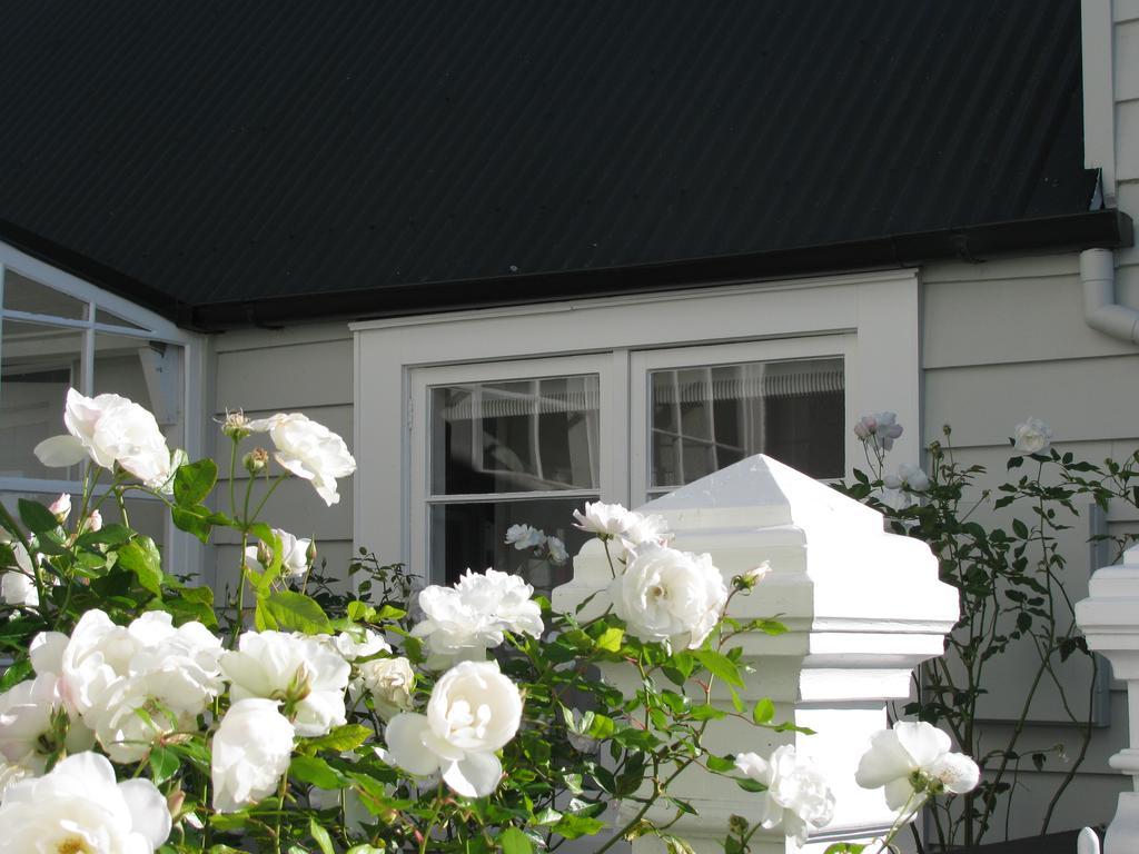 Historic Colenso Cottage Napier Zewnętrze zdjęcie